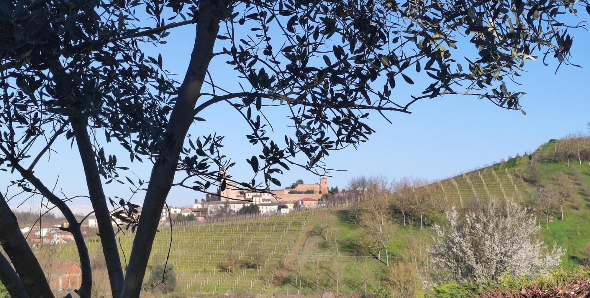 فيلا Casa San Rocco Castelnuovo  المظهر الخارجي الصورة